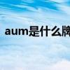 aum是什么牌子的女装（AUM是什么意思）