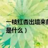 一枝红杏出墙来前一句是什么季节（一枝红杏出墙来前一句是什么）