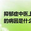 抑郁症中医上的病因病机是（中医解释抑郁症的病因是什么）