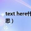 text here什么意思（sample text是什么意思）