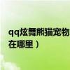 qq炫舞熊猫宠物怎么获得（QQ炫舞休闲社区中的熊猫娃娃在哪里）