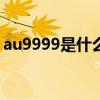 au9999是什么意思（谁能帮我起个AU名字）