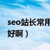 seo站长常用工具（SEO站长论坛哪几个比较好啊）