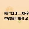 霜叶红于二月花中的霜叶是什么意思（“霜叶红于二月花”中的霜叶指什么）