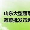 山东大型蔬菜批发市场大全（山东省内各城市蔬菜批发市场）