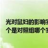 光对鼠妇的影响实验组和对照组（光对鼠妇生活的影响中哪个是对照组哪个实验组）