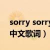 sorry sorry这首歌（sorry sorry remix的中文歌词）