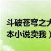 斗破苍穹之大主宰小说（谁有《斗破苍穹》这本小说卖我）