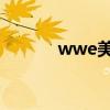 wwe美摔100分（WWE美摔）