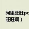 阿里旺旺pc端网页（怎么弄才有网页版阿里旺旺啊）