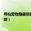 寻仙宠物隐藏技能怎么学啊知乎（寻仙宠物隐藏技能怎么学啊）