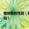 维纳斯的性别（据说维纳吉斯可以测试胎宝宝性别有人试过吗）