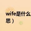 wife是什么意思英语怎么说（wife是什么意思）