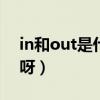 in和out是什么接口（IN和OUT是什么意思呀）