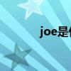 joe是什么（joe 有什么意思）