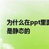 为什么在ppt里面插入GIF格式图片 会动的后放映的时候还是静态的