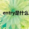 entry是什么中文意思（entry是什么意思）