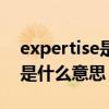 expertise是什么意思中文翻译（expertise是什么意思）