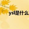 ysl是什么意思中文（ysl是什么意思）