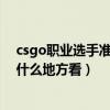 csgo职业选手准星参数网站（翼曲飞扬30强如何产生选手什么地方看）