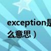 exception是什么意思英语（exception是什么意思）