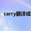 carry翻译成中文（carry是什么意思中文）