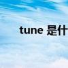 tune 是什么意思（Tune是什么意思）