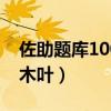 佐助题库1000题目答案（佐助为什么要毁灭木叶）