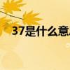 37是什么意思爱情含义（37是什么意思）