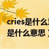 cries是什么意思啊英语（CriesInADistance是什么意思）