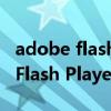 adobe flash player是干什么用的（Adobe Flash Player是什么东西）