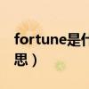 fortune是什么意思中文（fortune是什么意思）