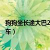 狗狗坐长途大巴22小时（狗狗要带回家做四个多小时长途汽车）