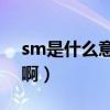 sm是什么意思啊网络用语（SM是什么意思啊）