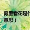 雾里看花是什么时候发行的（雾里看花是什么意思）