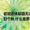 欲说还休却道天凉好个秋什么意思拼音（欲说还休却道天凉好个秋.什么意思）