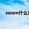 swam什么意思（SWAT 是什么意思啊）