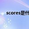 scores是什么意思（score是什么意思）