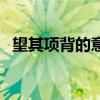 望其项背的意思是什么（望其项背的意思）