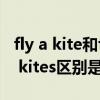 fly a kite和fly kite的区别（fly a kite 与fly kites区别是什么）