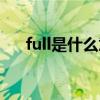 full是什么意思英语（full是什么意思）