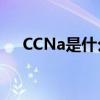 CCNa是什么化学物质（CCNA是什么）