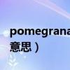 pomegranate 石榴（pomegranate是什么意思）