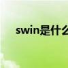 swin是什么意思（Swin是什么意思呢）