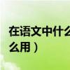 在语文中什么叫介词（在语文中什么是介词怎么用）