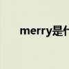 merry是什么意思（mer是什么意思）