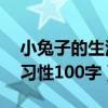 小兔子的生活特点描写50字（小兔子的生活习性100字）