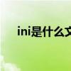 ini是什么文件扩展名（ini是什么文件）