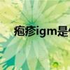 疱疹igm是什么意思（IGM是什么意思）