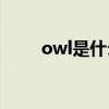 owl是什么意思（OW是什么意思）